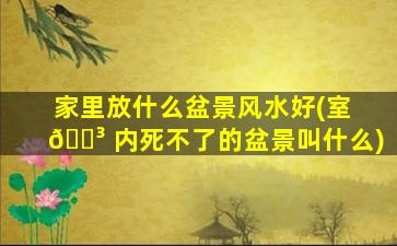 家里放什么盆景风水好(室 🐳 内死不了的盆景叫什么)